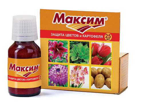 Максим, защита цветов и картофеля 